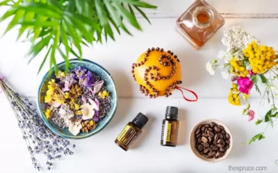 8 Resep cara membuat pengharum ruangan alami sendiri DIY